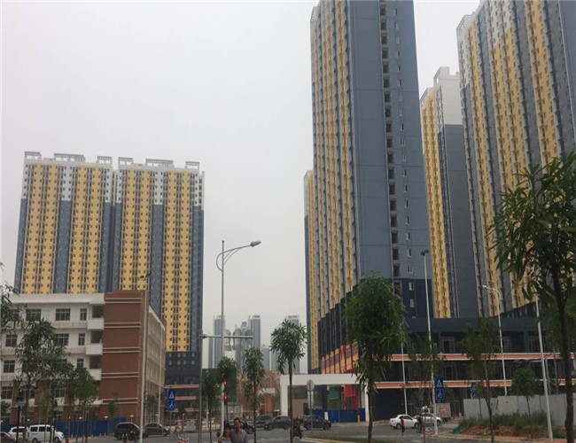 南寧市常務副市長張文軍蒞臨中信恒泰公司監(jiān)理的南寧市仙葫大道南側保障性住房項目考察
